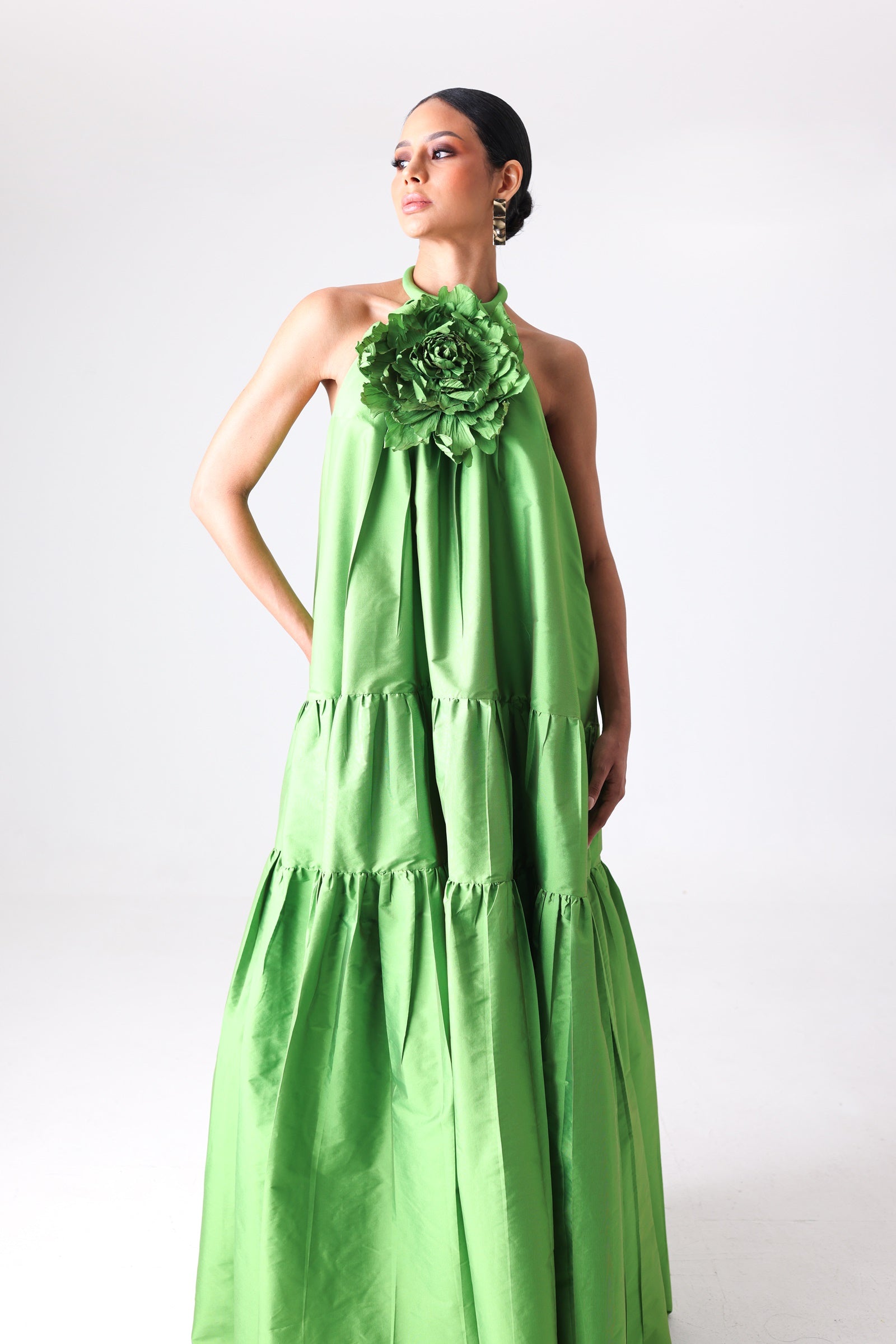 Nopal Dress image 4