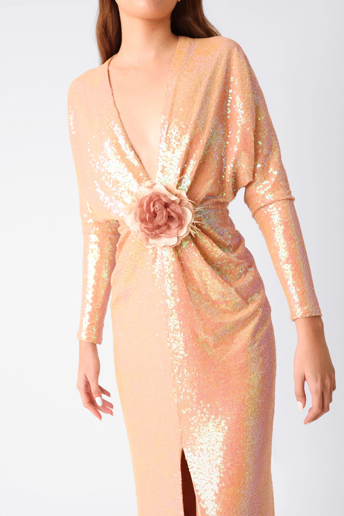 Alicia Dress image 1