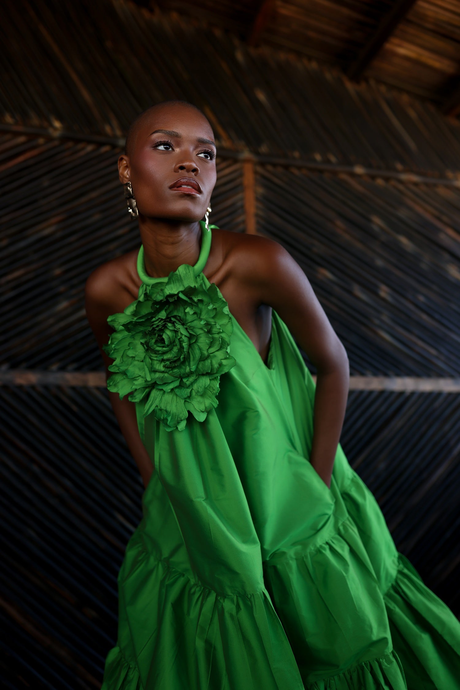 Nopal Dress image 3