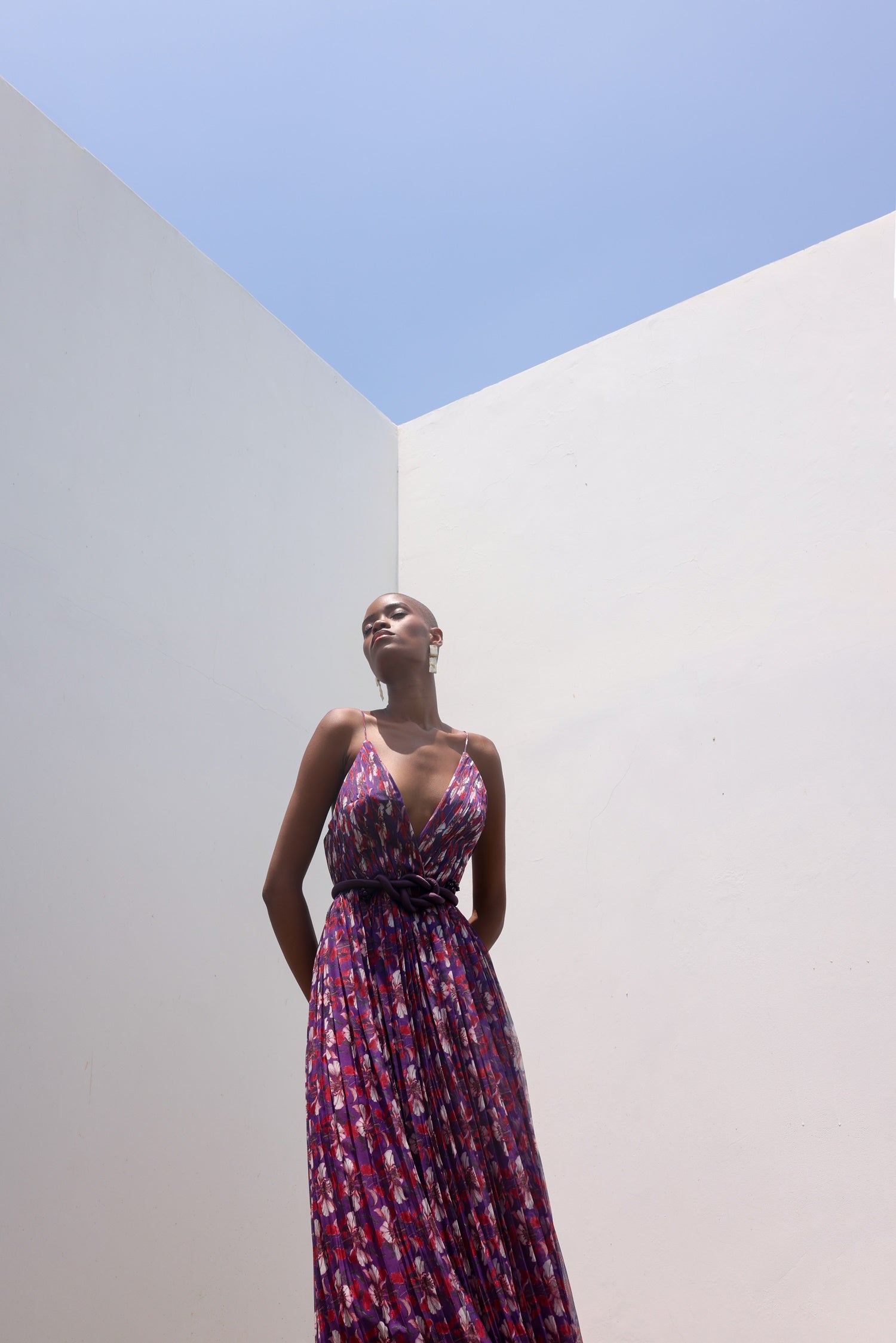 Salvadora Dress image 1