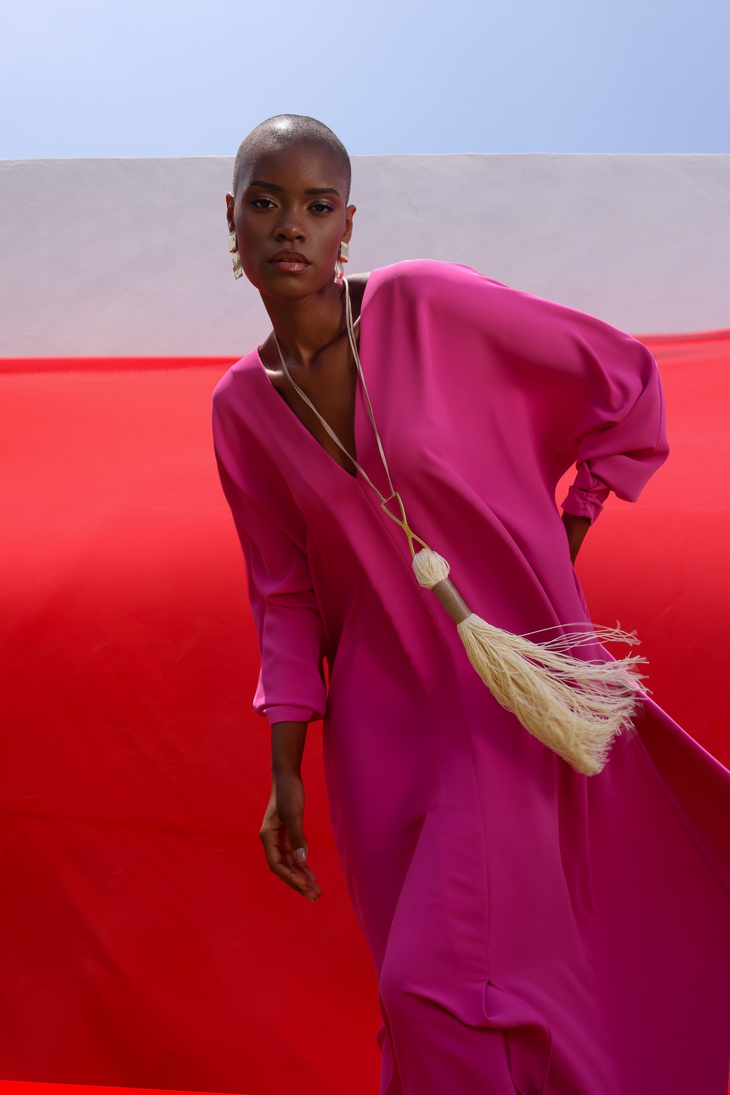 Torcaza Dress image 4