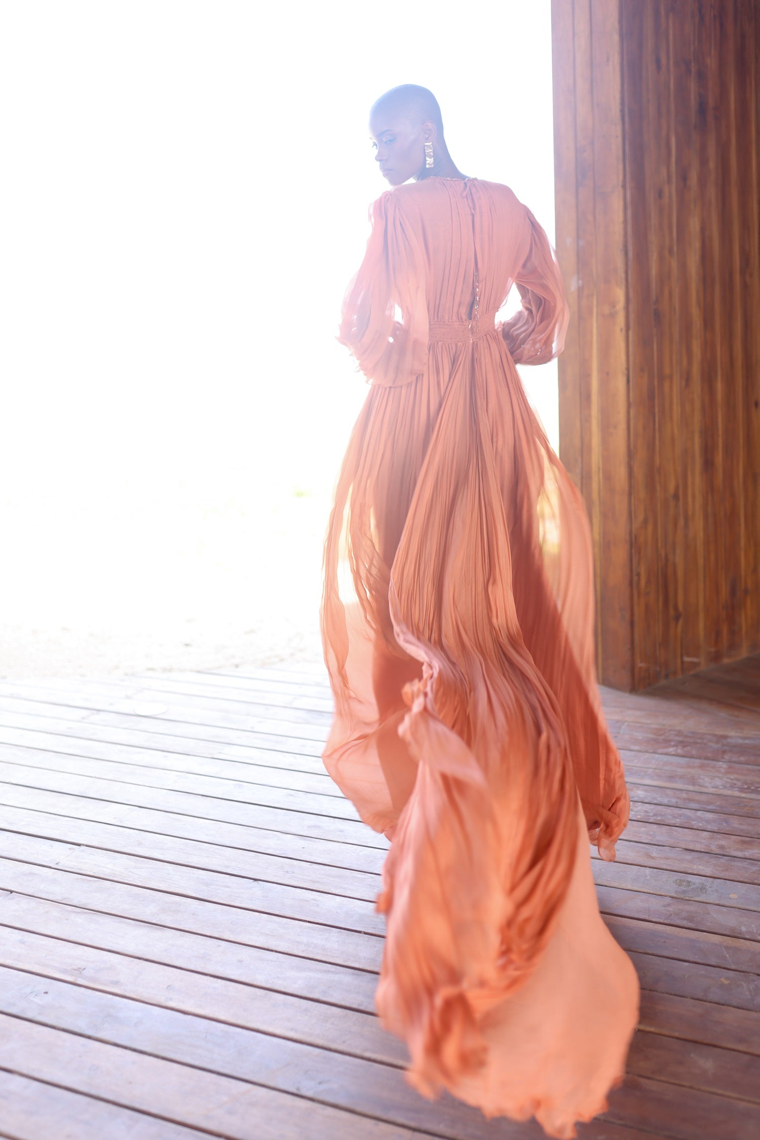 Julia Dress image 3