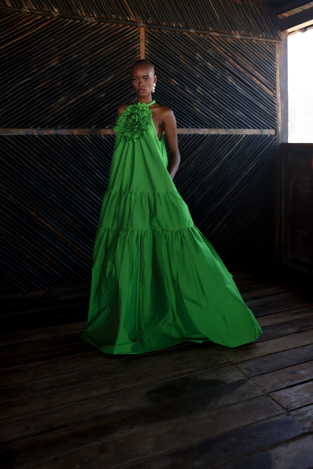 Nopal Dress image 1