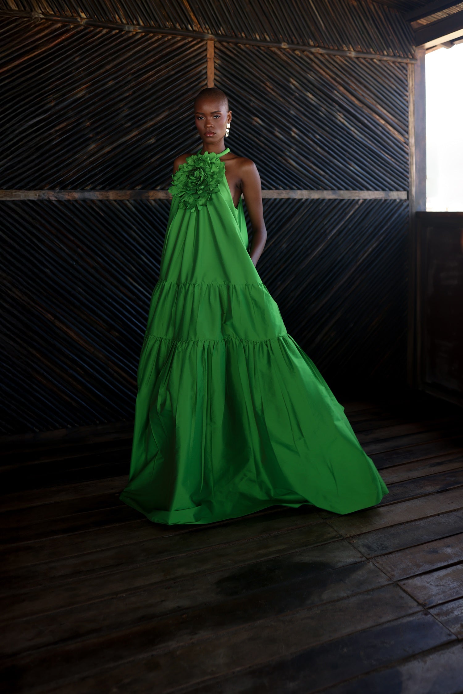 Nopal Dress image 1