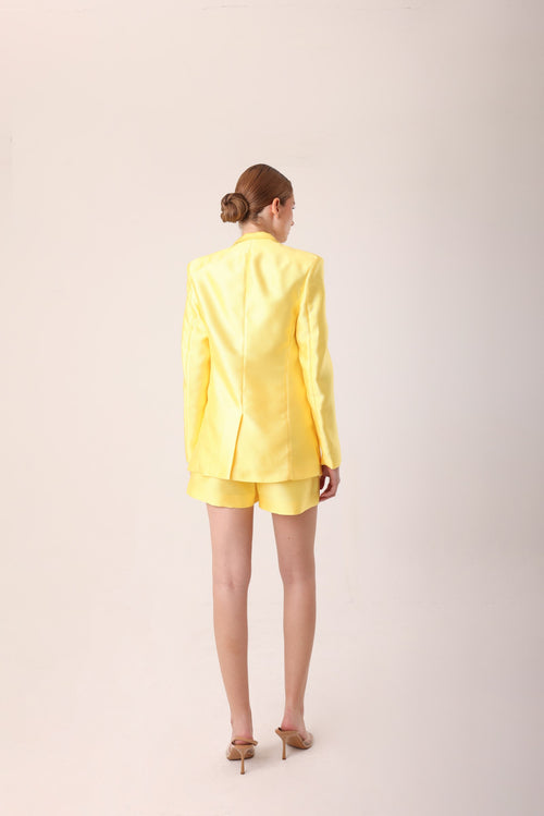 Girasol Blazer image 1